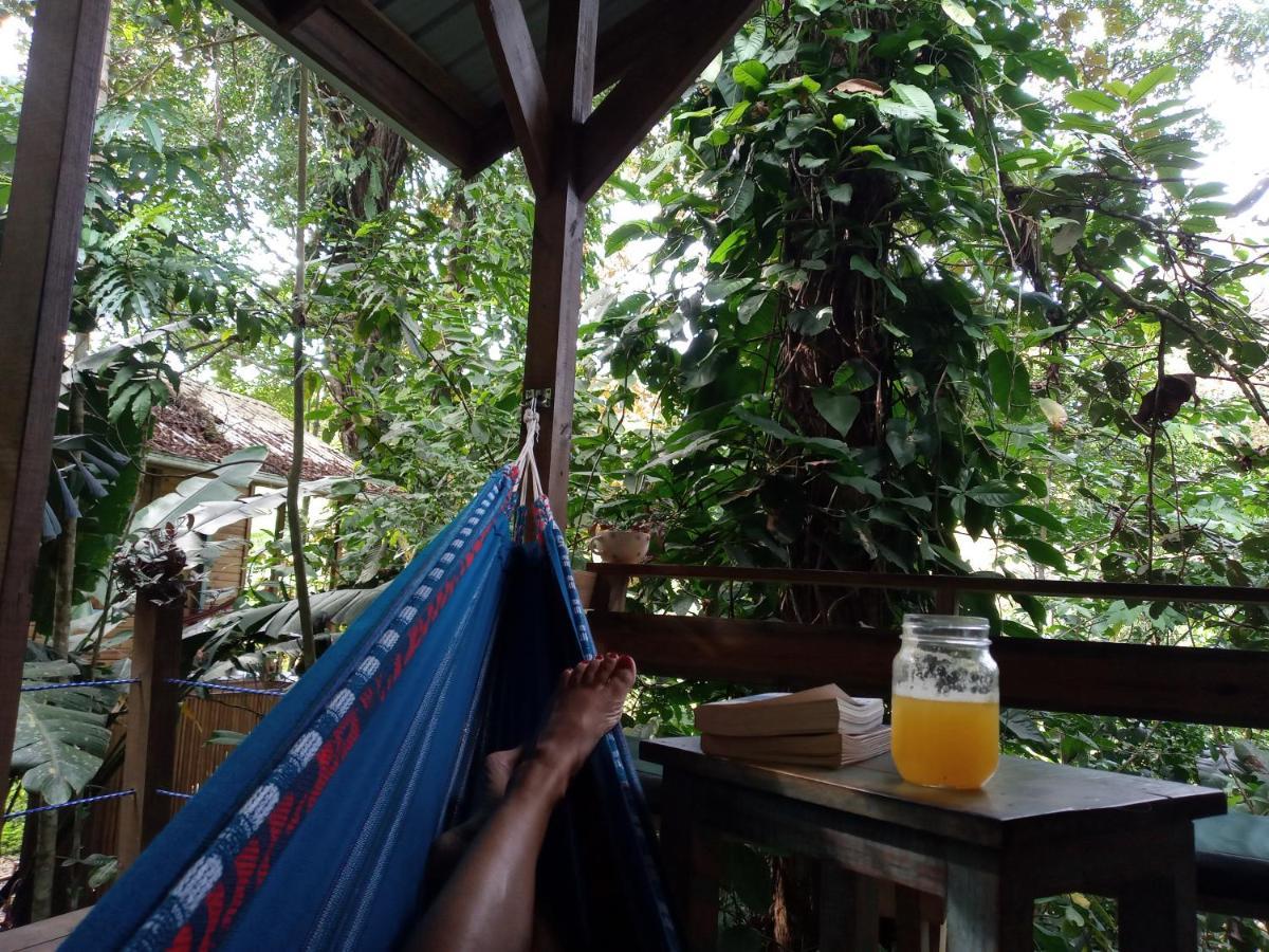 Jungle Paunch Villa Бокас дел Торо Екстериор снимка