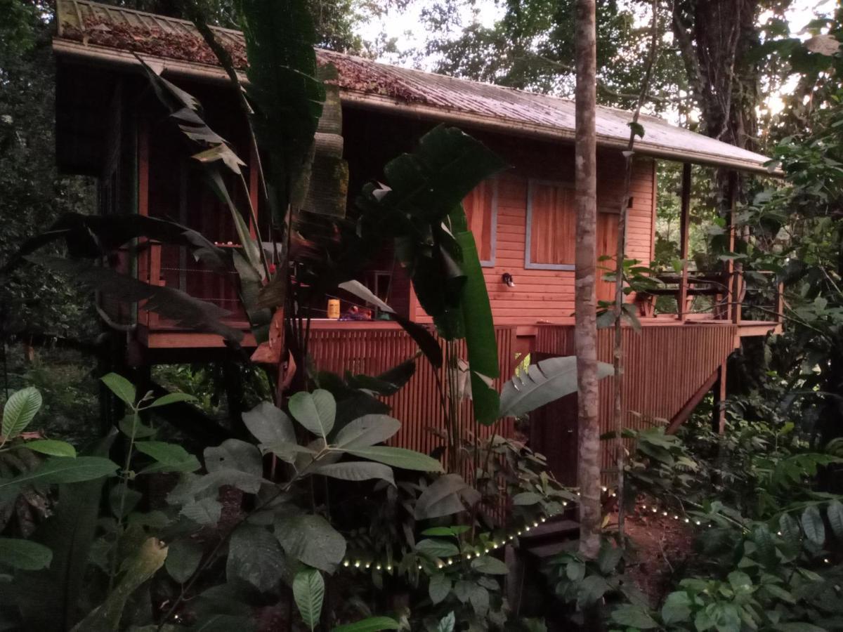 Jungle Paunch Villa Бокас дел Торо Екстериор снимка