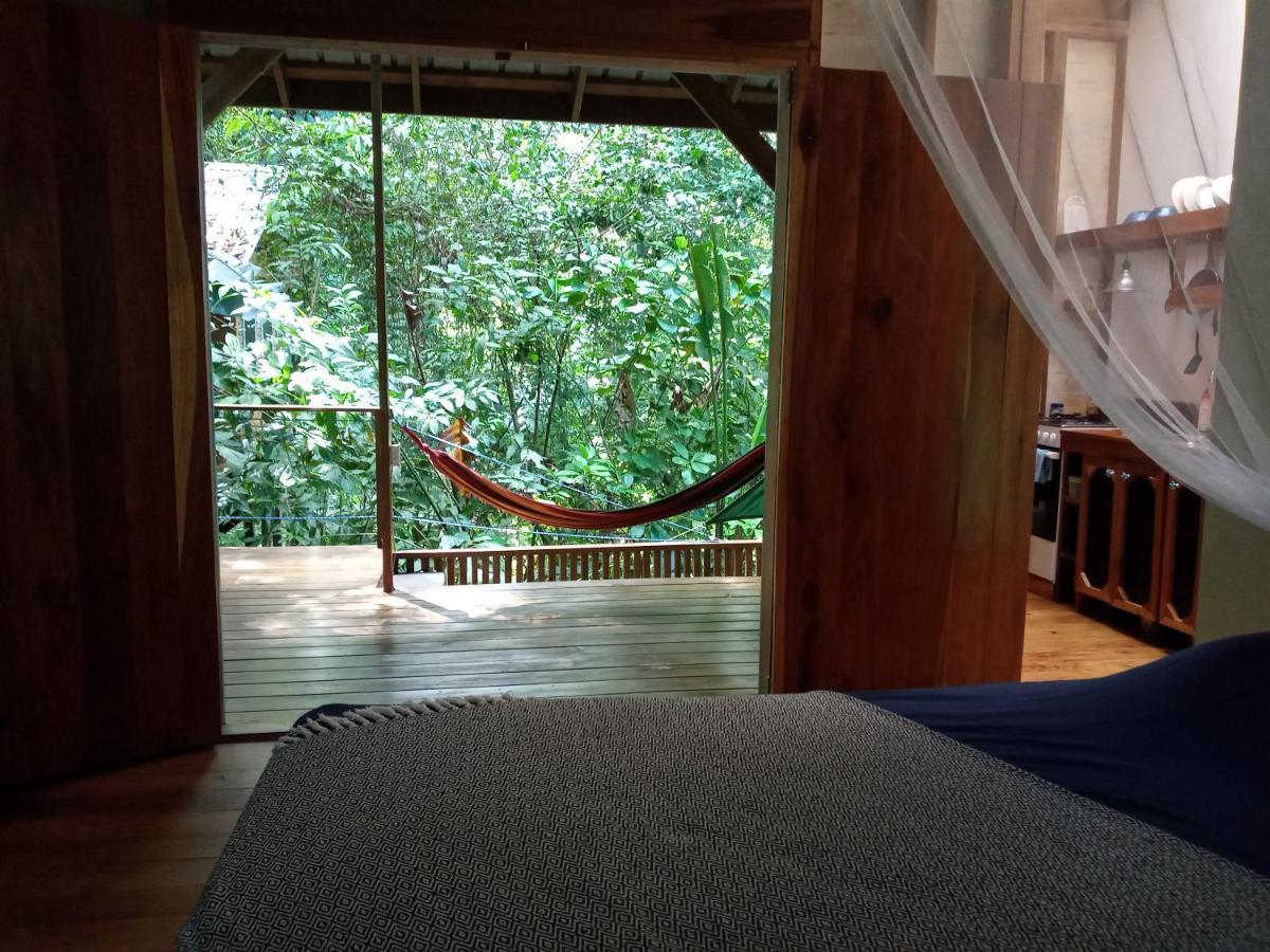 Jungle Paunch Villa Бокас дел Торо Екстериор снимка