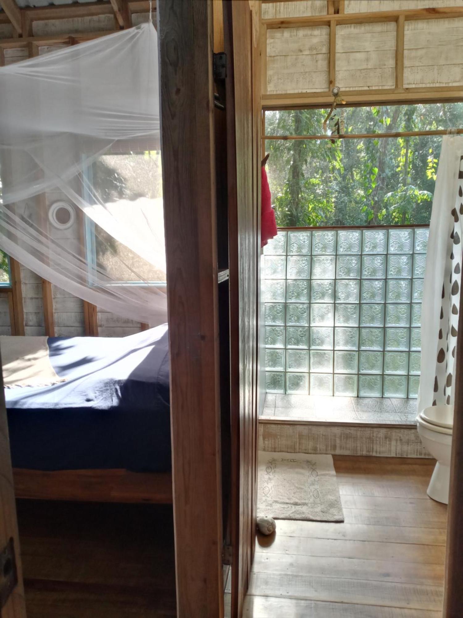 Jungle Paunch Villa Бокас дел Торо Екстериор снимка