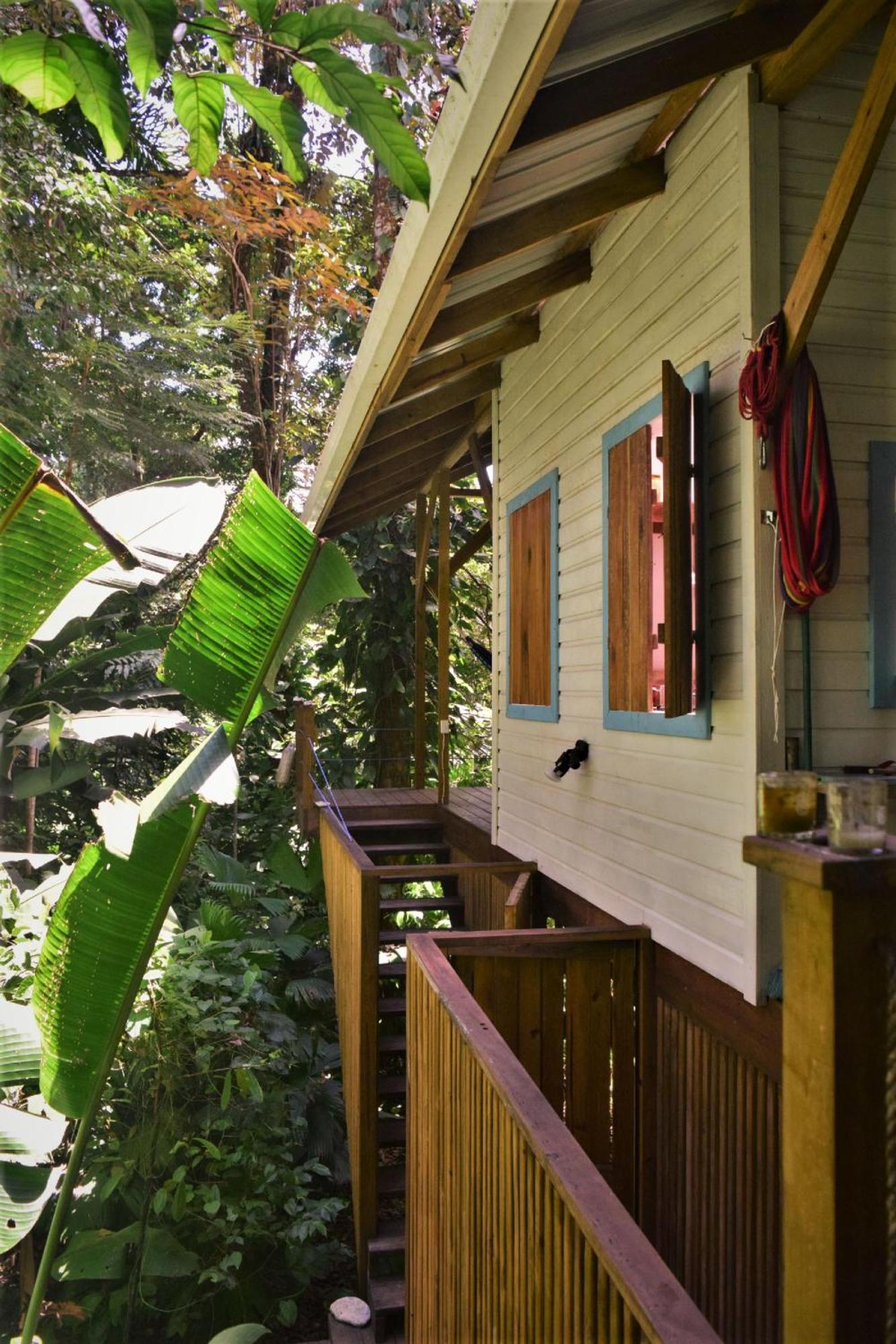 Jungle Paunch Villa Бокас дел Торо Екстериор снимка